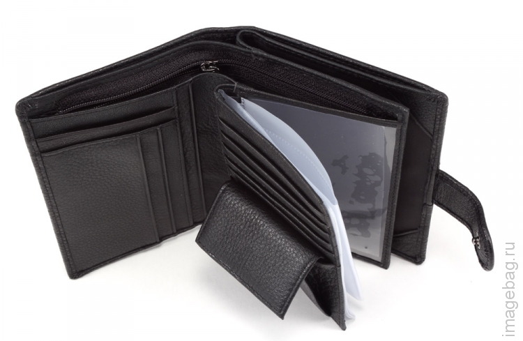 Paul Rayner 208-3104 обложка для автодокументов паспорта_8608